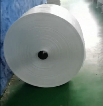 PP Woven fabric on roll