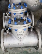 8" 150LB WCB T-Strainer