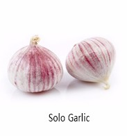 High quality vacuum packaging pure taste distributor peeled garlic