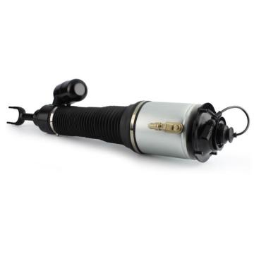 VW Phaeton Air Suspension Amortisseur 3D061604040