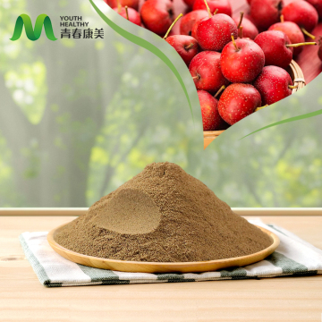 Natural Hawthorn Extract for Lowering Blood Pressure