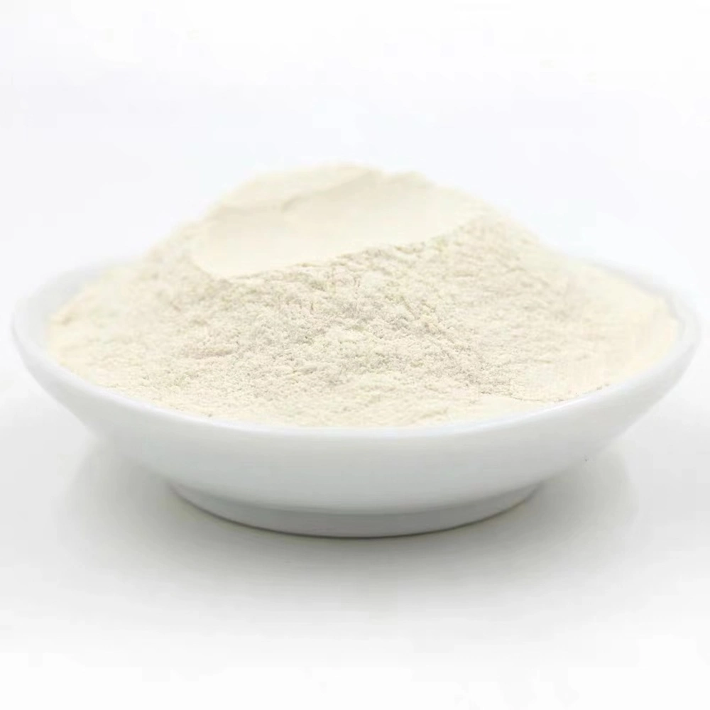 Dehydrated White Onion Powder for Free Sample