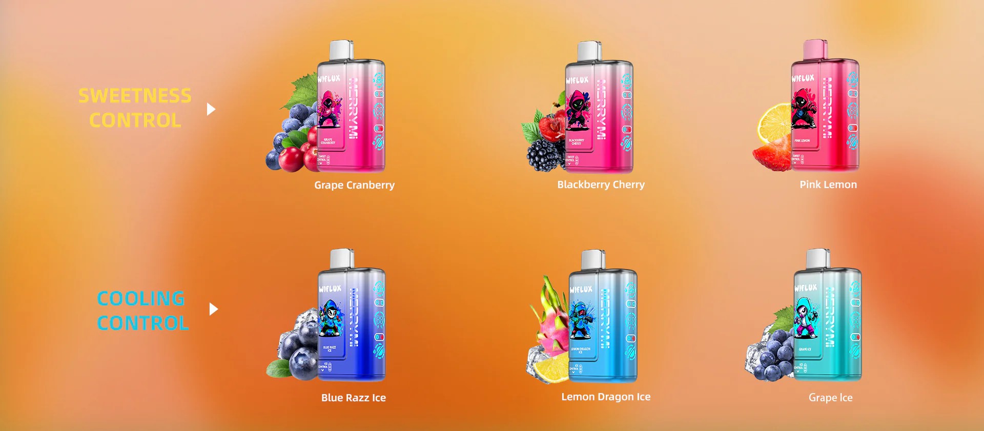 WIFLUX-24000-9-5-250314 WIFLUX-24000-9-5-250314