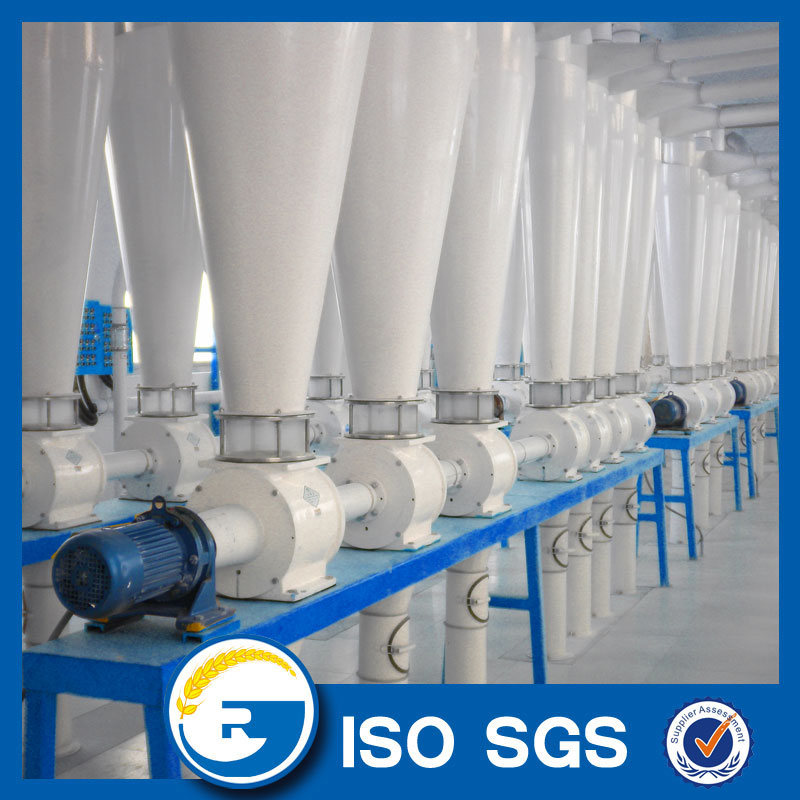 pipe wheat flour milling factory pipe wheat flour milling factory