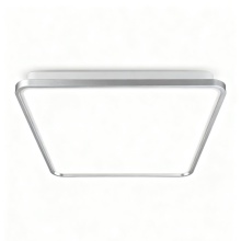 Soft Ambient LED Ceiling Light