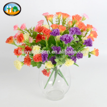 Wholesale high quality fresh cut flowers Carnation flowers for wedding