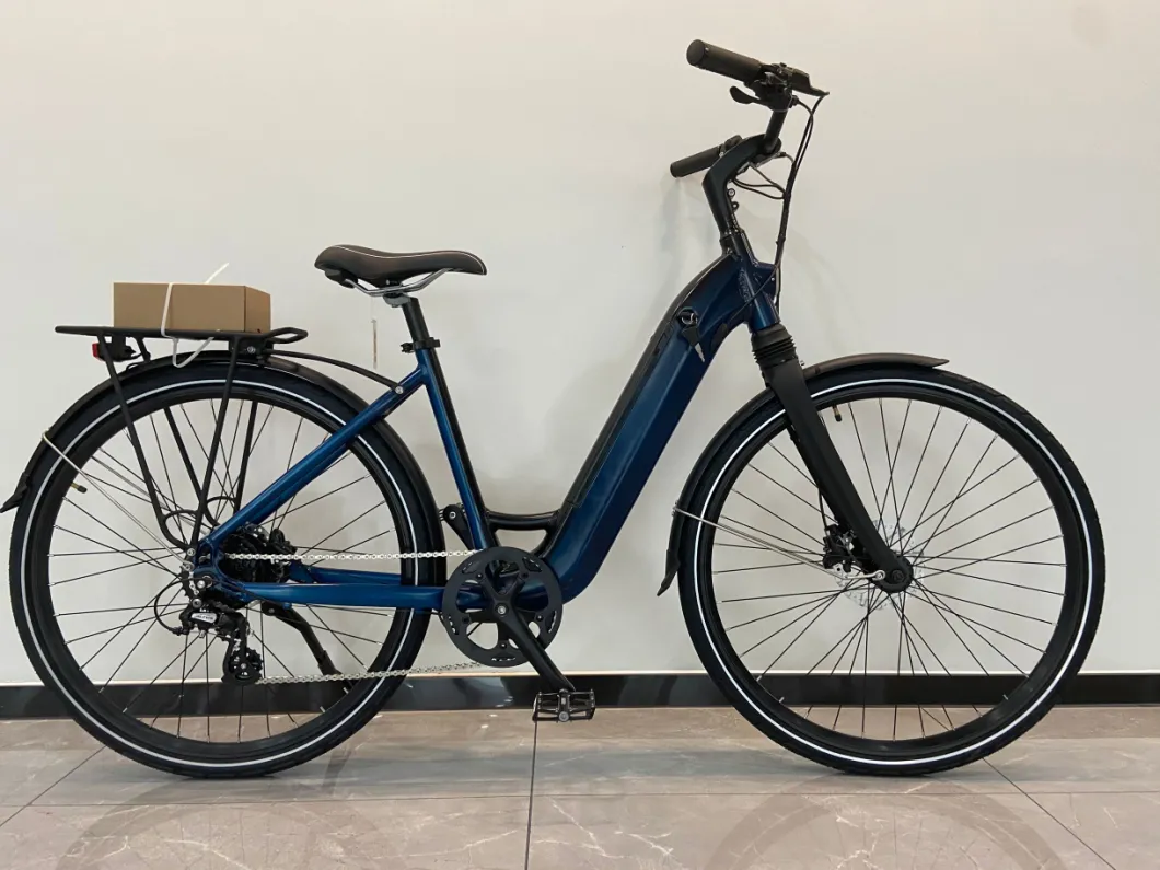 Hot Sale Comfort Urban City Ebike Electric Bike for Men