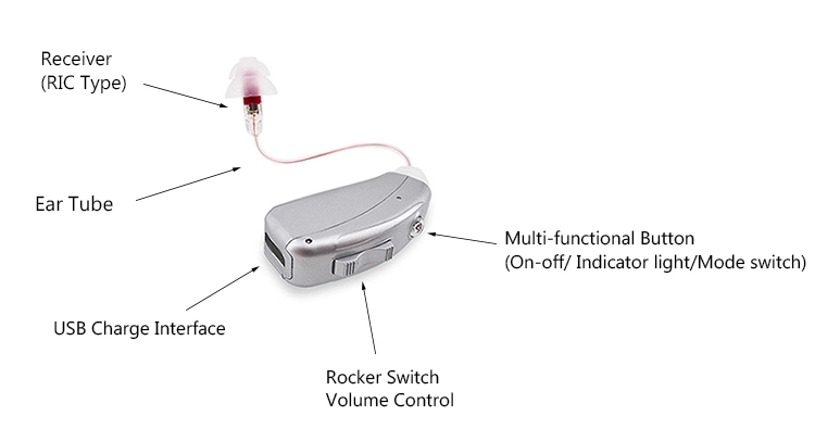 Behind The Ear RIC Rechargeable Hearing Aids With Competitive Prices