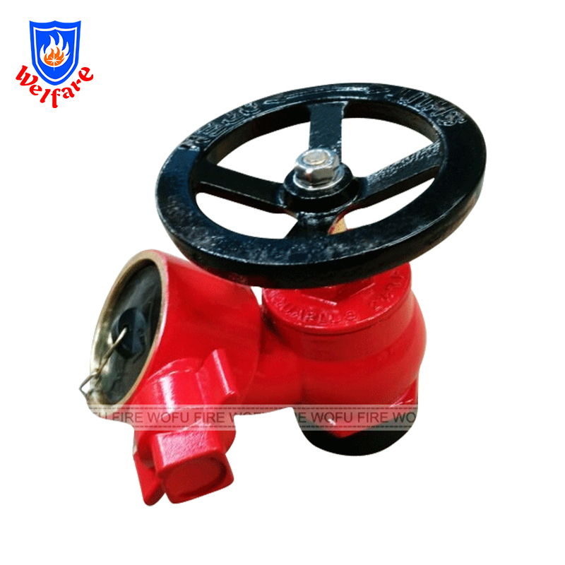 2-1/2'' BS336 Flanged Type fire hydrant landing valve parts