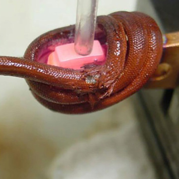 Handheld Welding Equipment with Induction Tempering