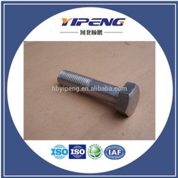 China Supplier of Bolt and Nut/High Quality Bolt and Nut