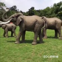 Large in stock life size resin elephant for home park decoration