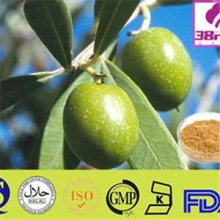 Olive Leaf Extract