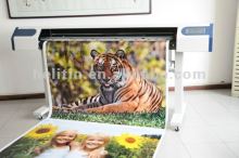 CMYK High-speed indoor inkjet printing machine for advertising