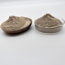 Oil-Degrading Bacteria Aerobic and Anaerobic Type