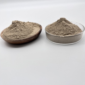 Oil-Degrading Bacteria Aerobic and Anaerobic Type