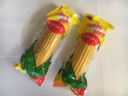 Jagung manis bisa dimakan langsung