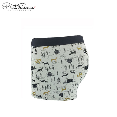 Wholesale nylon hommes boxer sexy sous-vêtements