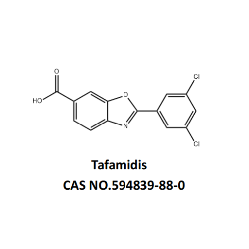 Tafamidis CAS № 594839-88-0 API