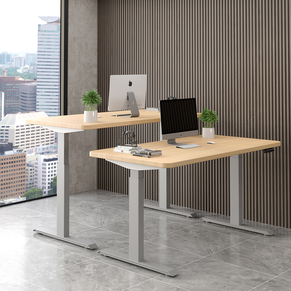 Standing Adjustable Desk