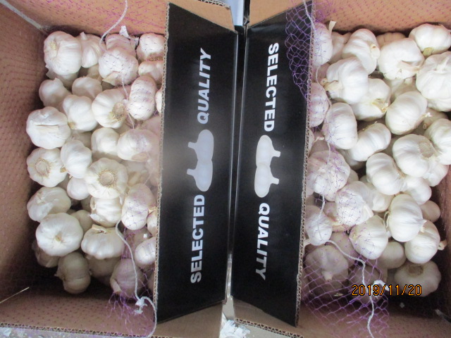 Best Quality 2019 Pure Garlic