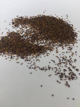 Flower seeds planting sheets