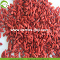 Factory Supply Fruit Pack USA Goji Berry