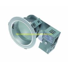 Frost Protected D1 Downlight