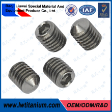 DIN 913 Gr5 Natural Color M8x1.25 Titanium Grub Screws