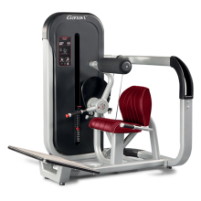 Pin Load Selection equipment Lower Back Machine