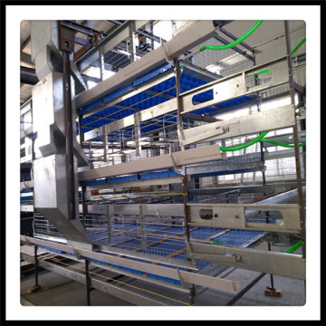Types of Battery Cage System in Poultry for Broilers