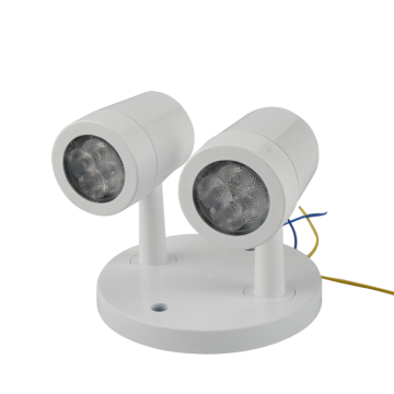 Lighting CNDRH2 Emergency LED Remote Dual Head Fixture