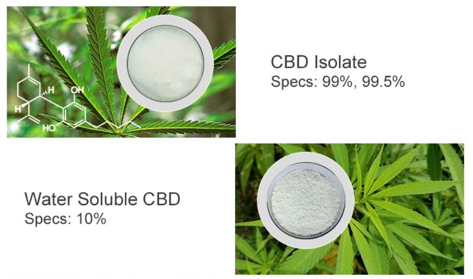 water soluble cbd