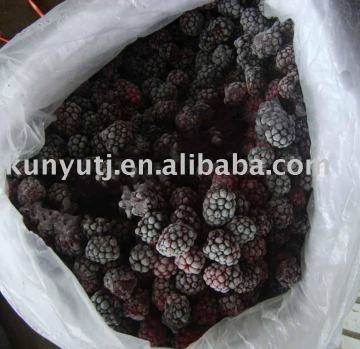 frozen blackberry