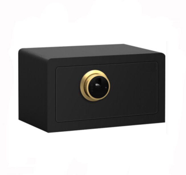 Black Safes Box