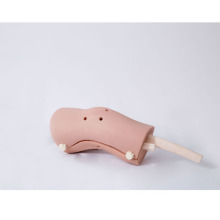 GD/LV75 General Doctor Knee Arthroscopy Model