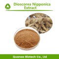 Порошок экстракта диоскореи Nipponica Диосгенин 98% Цена