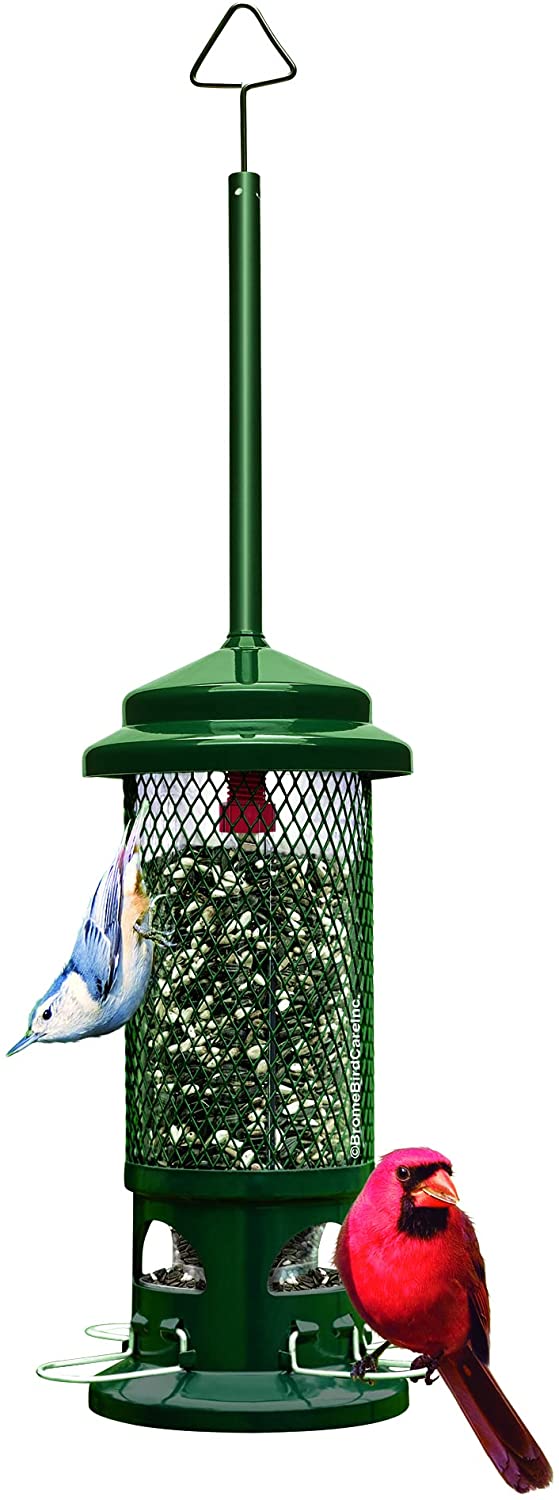 Wiewiórka Buster Bird Feeder