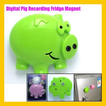 Digital Piggy Shape Recording Magnet Fridge