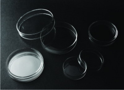 Glass Petri Dish