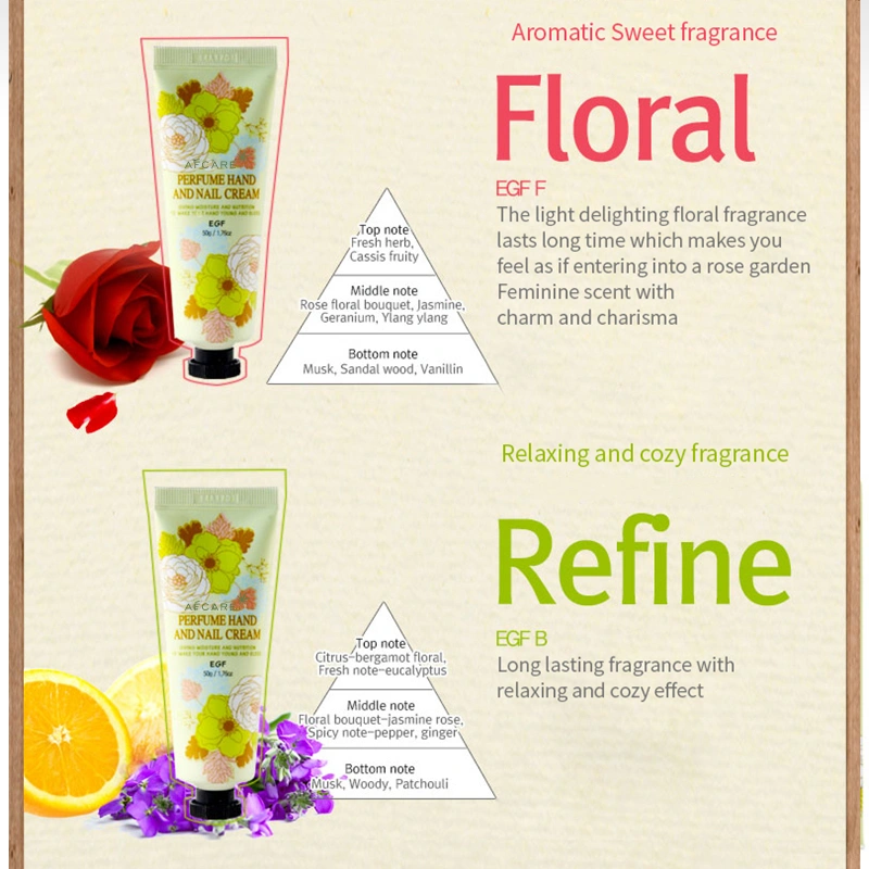 Smoothing Hydrating Anti-Wrinkle Natural Plant Extracts Hand Cream for Hand