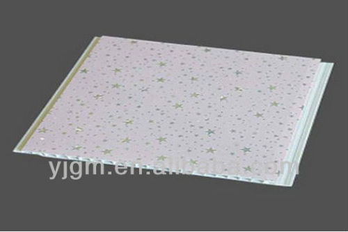 Panels ceiling and Pvc wall panel (250/200mm X 7mm) HOT STAMPING