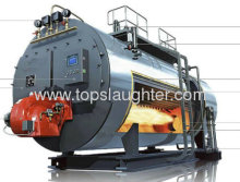 Food Processing Equipment Steam Boiler?
