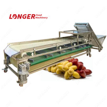 Palm Dates Sorting Machinery | Fruit Processing Equipment