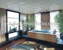 decorative plastic wall panels (ceiling )