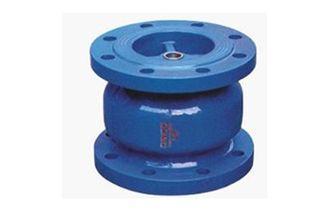 Ductile Iron Flanged Check Valve