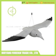 Vivid Full Body Seagull