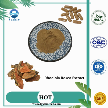 Поставка объема Rhodiola Rosea Extract Салидрозид 1%-10%