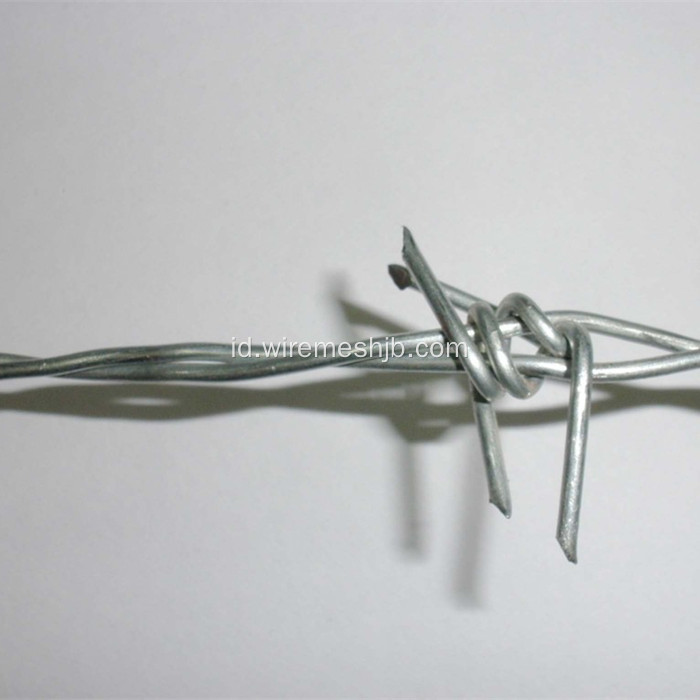 Hot-dip Galvanized Barbed Wire