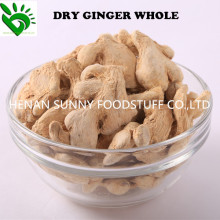 High Quality Dry Ginger Whole